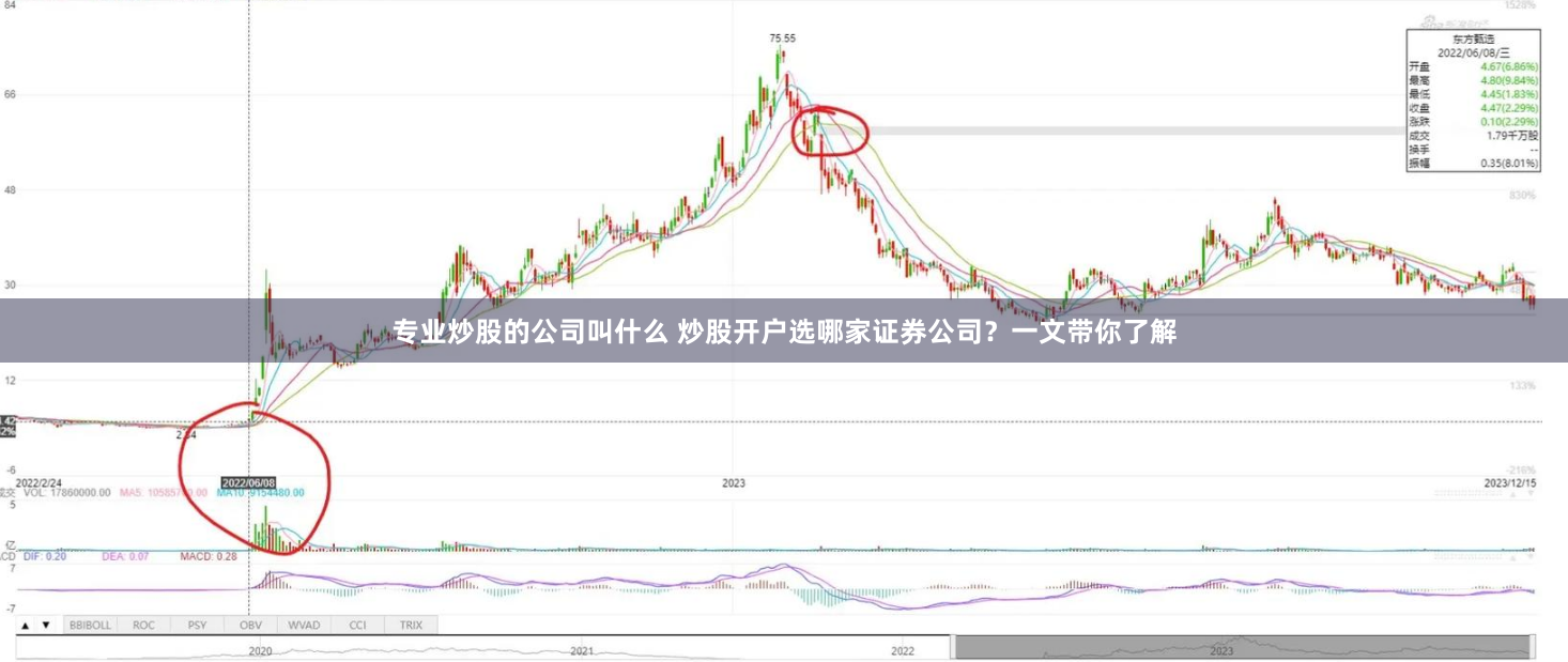 专业炒股的公司叫什么 炒股开户选哪家证券公司？一文带你了解
