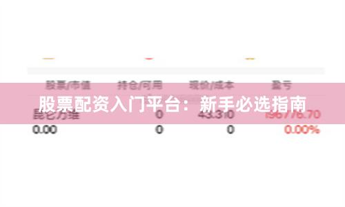 股票配资入门平台：新手必选指南