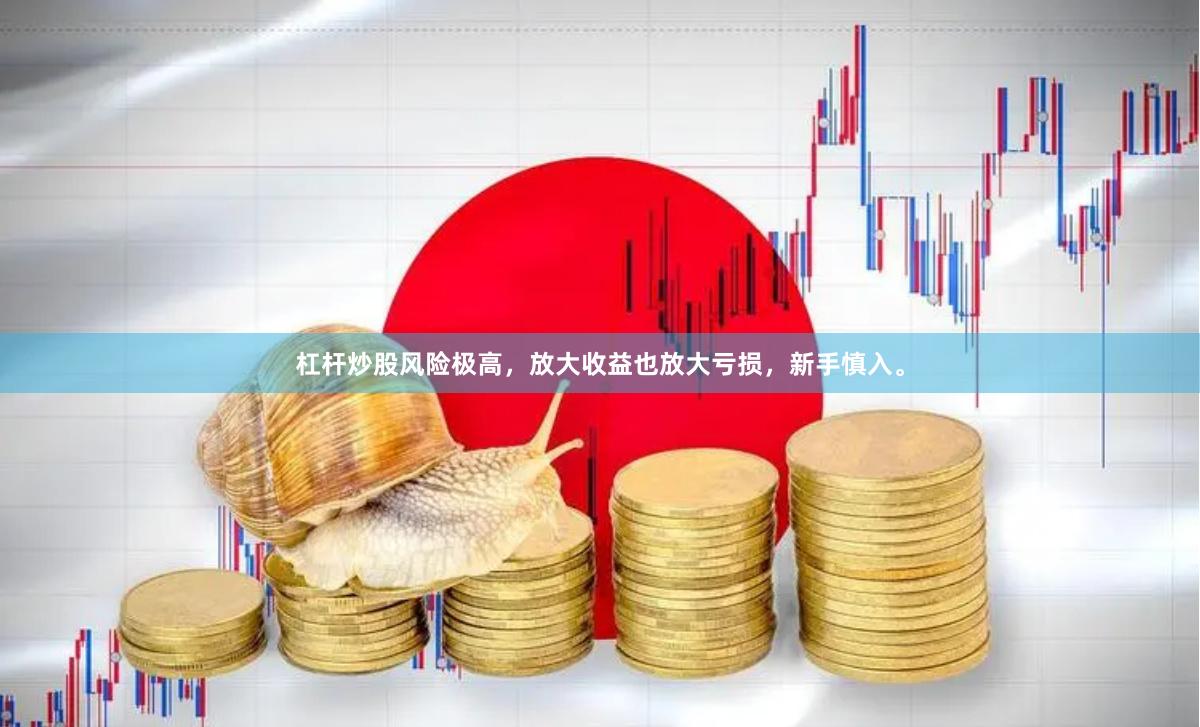 杠杆炒股风险极高，放大收益也放大亏损，新手慎入。